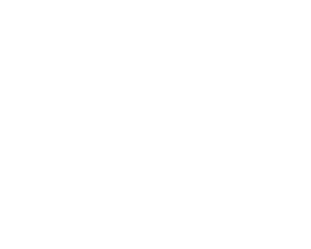 enel logo
